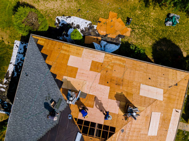 Best Storm Damage Roof Repair  in Briar Chapel, NC
