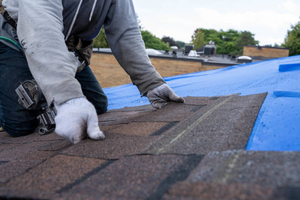 Best Flat Roof Repair Services  in Briar Chapel, NC