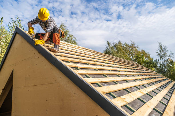 Roof Gutter Cleaning in Briar Chapel, NC